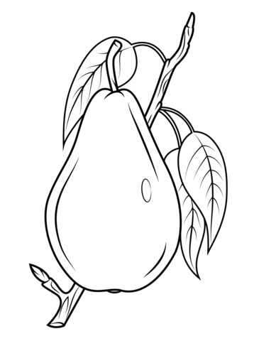 Pear On Branch Coloring Page